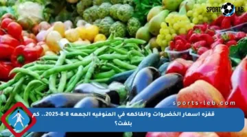 قفزة أسعار الخضروات والفاكهة في المنوفية الجمعة 8-8-2025.. كم بلغت؟